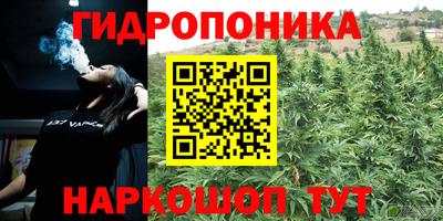 прущие крисы Бугуруслан