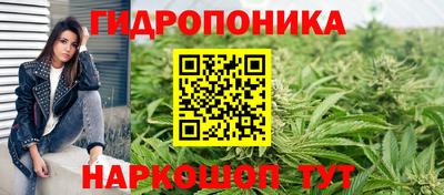 сатива Бузулук