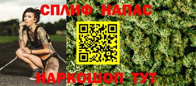 гидропоника Будённовск
