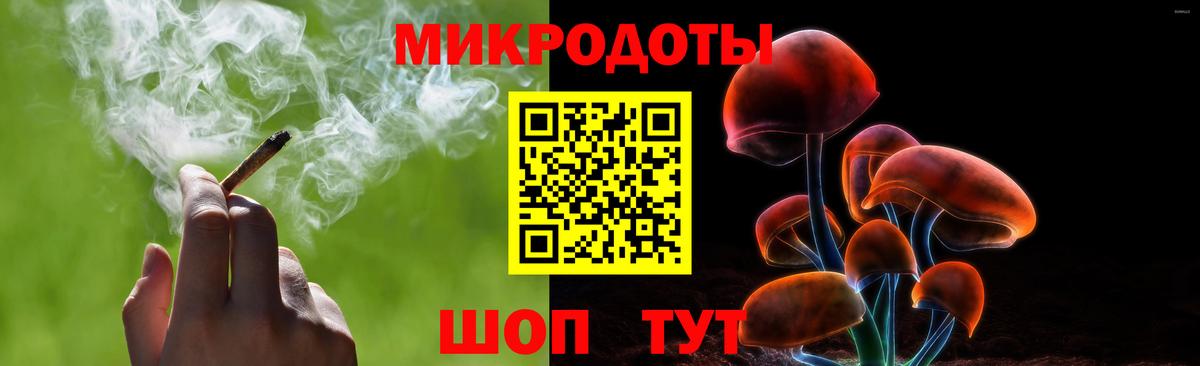Галлюциногенные грибы Psilocybe Лабинск